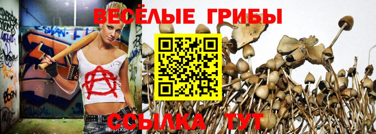 Галлюциногенные грибы Cubensis  Псилоцибиновые грибы MAGIC MUSHROOMS  Вход с VPN  Бугуруслан 